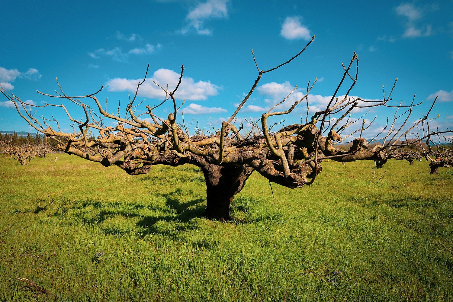 La photographie à Hyères : ma passion quotidienne entre lumière, paysages et tirages CHAB